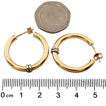 9ct gold 2-tone 2.9g Hoop Earrings